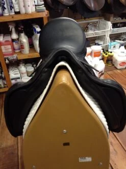 Prestige Dressage Saddle - 17" 11 Prestige Dressage Saddle - 17" -For the Horse Store IMG 3968