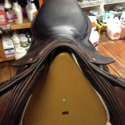 SOLD - County Sensation Jump Saddle - 17.5" -For the Horse Store IMG 3980