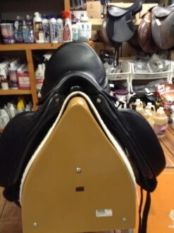 CWD SEO5 2017 Dressage Saddle - 18" -For the Horse Store IMG 4431