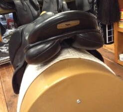 Black Country Tex Eventer - 19" -For the Horse Store IMG 4618