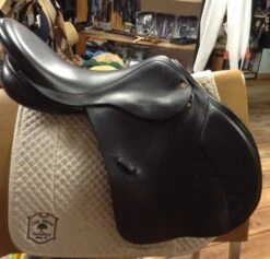 For the Horse Store -For the Horse Store IMG 4619