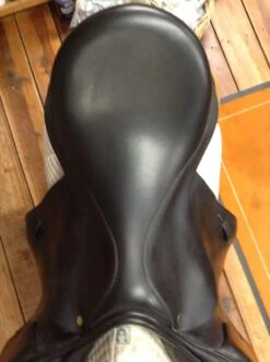 Black Country Tex Eventer - 19" -For the Horse Store IMG 4621