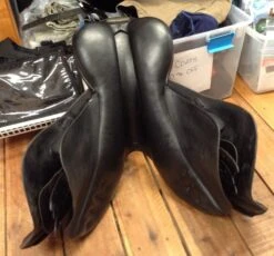 Black Country Tex Eventer - 19" -For the Horse Store IMG 4622