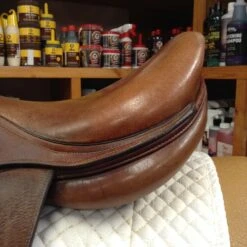 SOLD - 2002 Antares Jump Saddle 17" -For the Horse Store IMG 4669