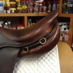 2007 Bruno Delgrange 18.5" -For the Horse Store IMG 4739