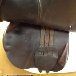 2007 Bruno Delgrange 18.5" -For the Horse Store IMG 4741