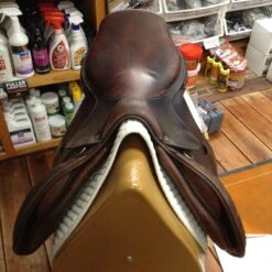 2007 Bruno Delgrange 18.5" -For the Horse Store IMG 4743