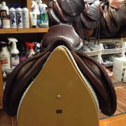 2007 Bruno Delgrange 18.5" -For the Horse Store IMG 4744