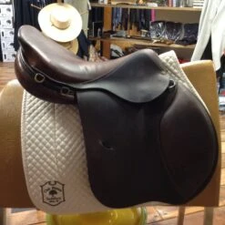 2007 Bruno Delgrange 18.5" -For the Horse Store IMG 4745