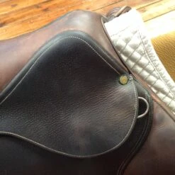 2007 Bruno Delgrange 18.5" -For the Horse Store IMG 4746