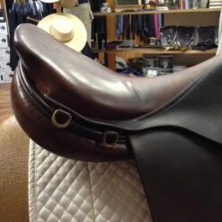 2007 Bruno Delgrange 18.5" -For the Horse Store IMG 4747