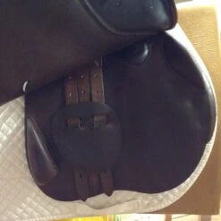 2007 Bruno Delgrange 18.5" -For the Horse Store IMG 4749