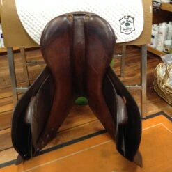 2007 Bruno Delgrange 18.5" -For the Horse Store IMG 4751