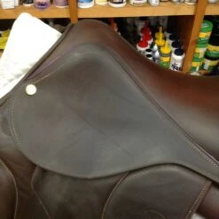 For the Horse Store -For the Horse Store IMG 4753