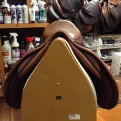 SOLD - 2010 Antares Jump Saddle - 19" 22 SOLD - 2010 Antares Jump Saddle - 19" -For the Horse Store IMG 4774