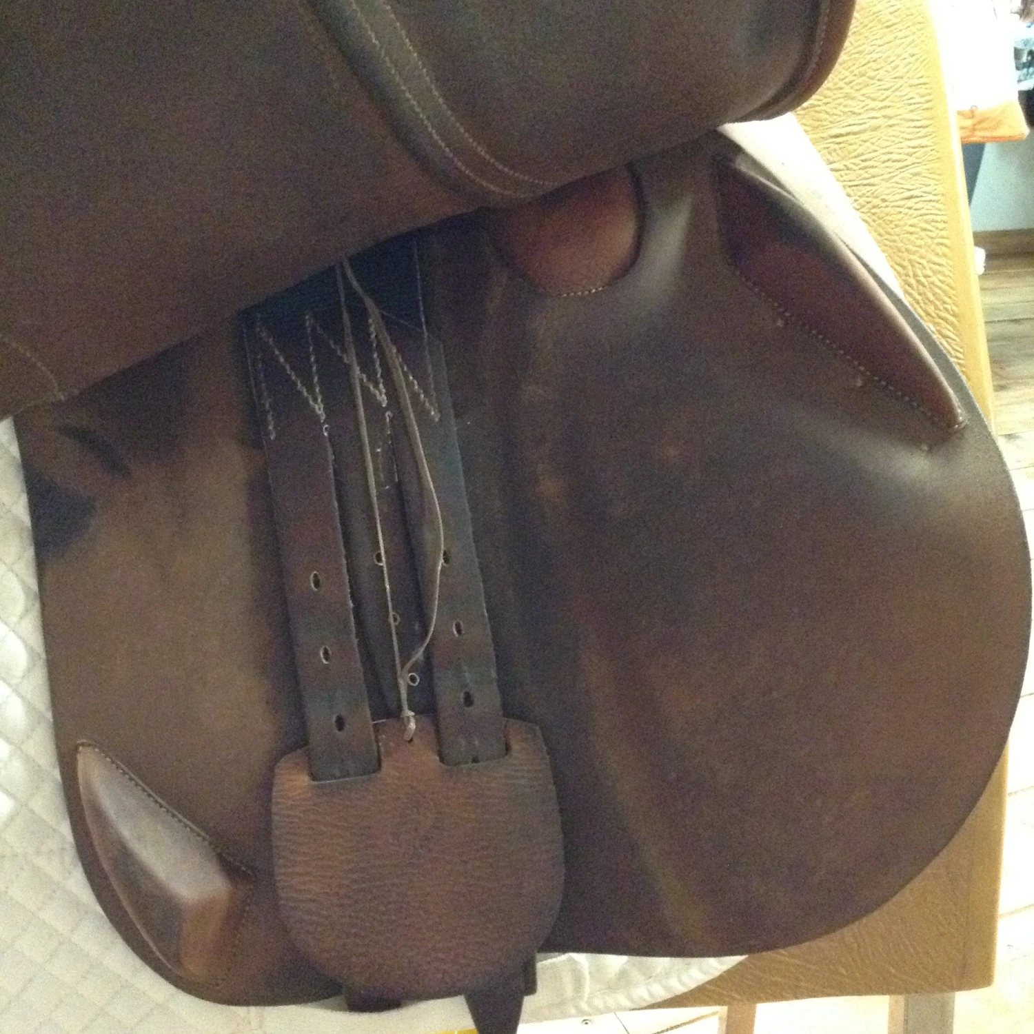 SOLD - 2010 Antares Jump Saddle - 19" 10 SOLD - 2010 Antares Jump Saddle - 19" - Image 10