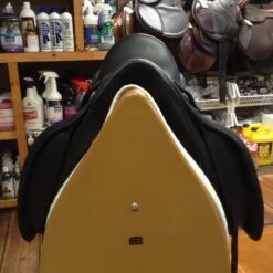 M Toulouse Diana Dressage - 17" -For the Horse Store IMG 4841