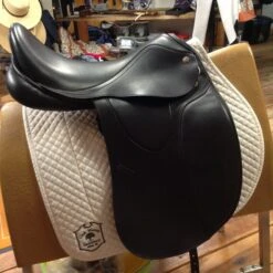 M Toulouse Diana Dressage - 17" -For the Horse Store IMG 4842