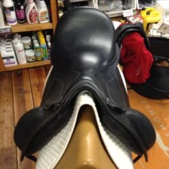 Frank Baines Union Lux - 18" -For the Horse Store IMG 4875