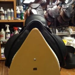 Frank Baines Union Lux - 18" -For the Horse Store IMG 4876