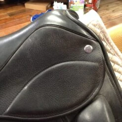 Frank Baines Union Lux - 18" -For the Horse Store IMG 4878