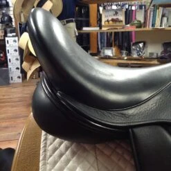 Frank Baines Union Lux - 18" -For the Horse Store IMG 4879