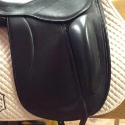 Frank Baines Union Lux - 18" -For the Horse Store IMG 4880