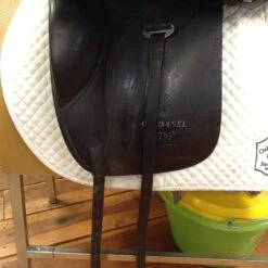 Cardanel Dressage Saddle - 17.5" -For the Horse Store IMG 5042