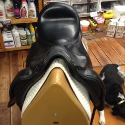Cardanel Dressage Saddle - 17.5" -For the Horse Store IMG 5044