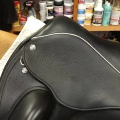 For the Horse Store -For the Horse Store IMG 5137