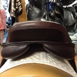 SOLD M Toulouse Premia Jump Saddle - 18" -For the Horse Store IMG 5166