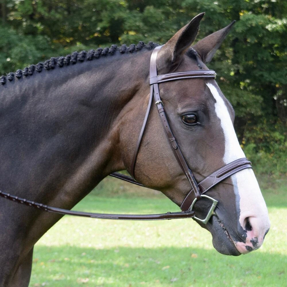 KL Select Red Barn Sonoma Fancy Hunter Bridle 1 KL Select Red Barn Sonoma Fancy Hunter Bridle
