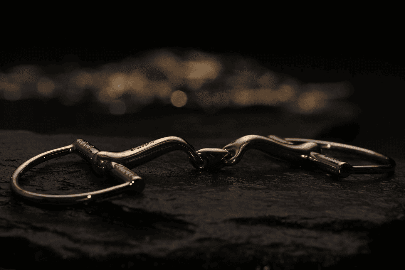 For the Horse Store -For the Horse Store Neue Schule nsbits X