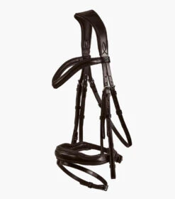 Premier Equine Rizzo Anatomic Snaffle Bridle With Flash
