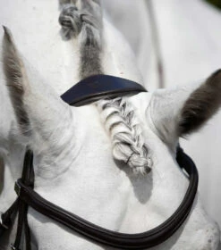 Premier Equine Rizzo Anatomic Snaffle Bridle With Flash -For the Horse Store PERizzocrownpiecebrown