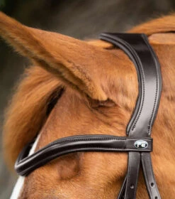 Premier Equine Glorioso Grackle Bridle -For the Horse Store PEglorioso grackle bridle2