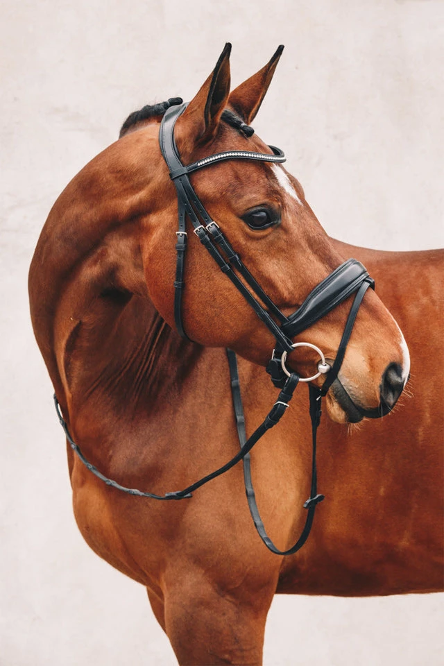 Schockemoehle Stanford Dressage Bridle 2 Schockemoehle Stanford Dressage Bridle - Image 2