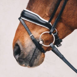 Schockemoehle Stanford Dressage Bridle 7 Schockemoehle Stanford Dressage Bridle -For the Horse Store SchockemoehleStanford blackwhitesilver 2