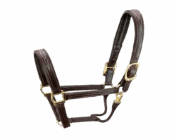 Walsh Signature Padded Halter