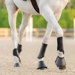 Equifit Essential® Everyday™ Front Boots -For the Horse Store download 4