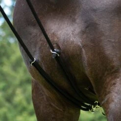 HKM Training System -For the Horse Store hkm training aid black chest attachment lifestyle 12406