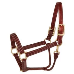 Walsh British Triple Stitched Leather Halter