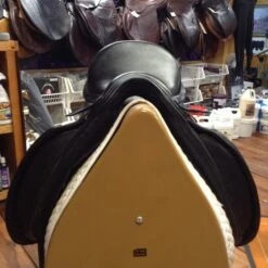 Ideal Dressage Saddle - 17" -For the Horse Store image 2b0553e9 6327 4cd4 88bc 003730d56274