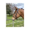 Jump'In Hackamore Bridle