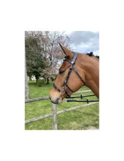 Jump'In Hackamore Bridle