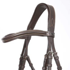 Kavalkade Ivy Dressage Bridle -For the Horse Store kavivy5