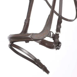Kavalkade Ivy Dressage Bridle -For the Horse Store kavivy6