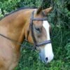 Red Barn Ocala Hunter Bridle