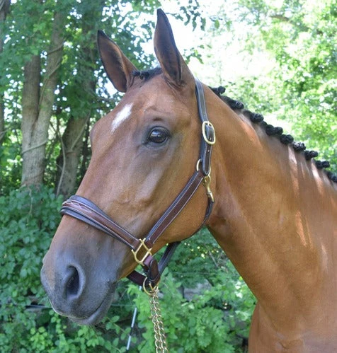 Red Barn Fancy Stitching Padded Leather Halter 2 Red Barn Fancy Stitching Padded Leather Halter - Image 2
