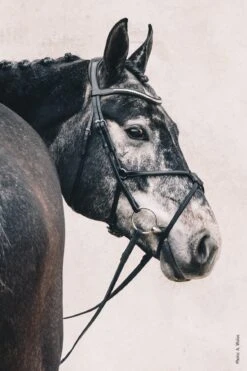 Schockemohle Rio Select Anatomical Bridle -For the Horse Store scho2